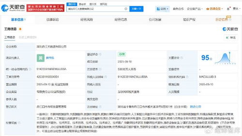 湖北丹江大數(shù)據(jù)公司成立，5億注冊資本瞄準數(shù)據(jù)處理服務新藍海